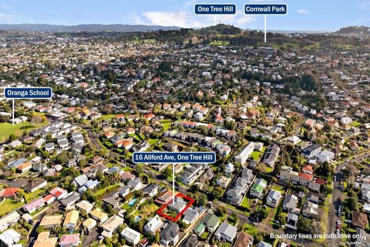 16 Aliford Avenue One Tree Hill_19