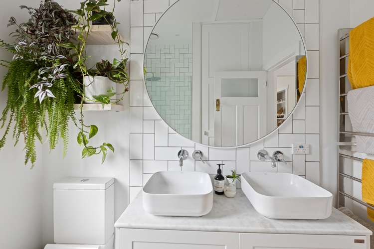 1802a Great North Road Avondale_18