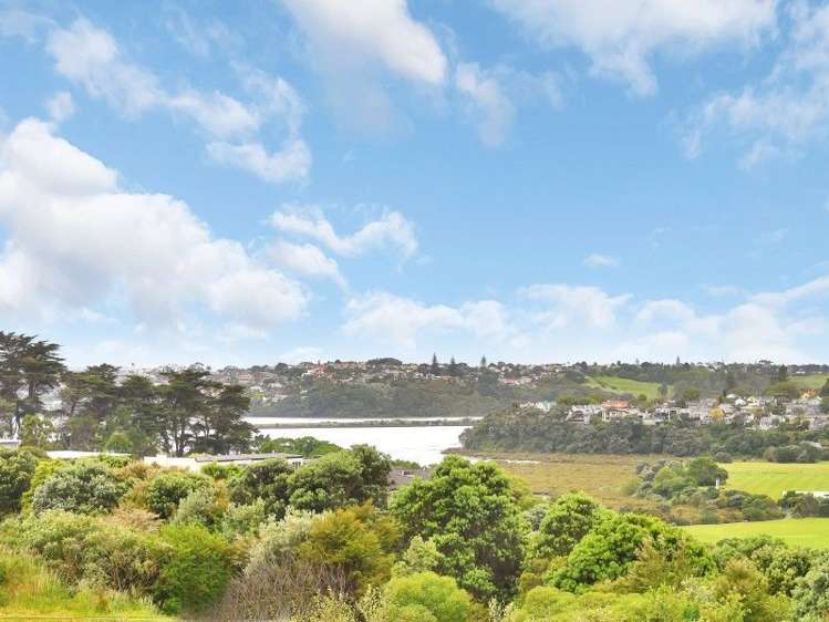 14b Sarawia Street Newmarket_22