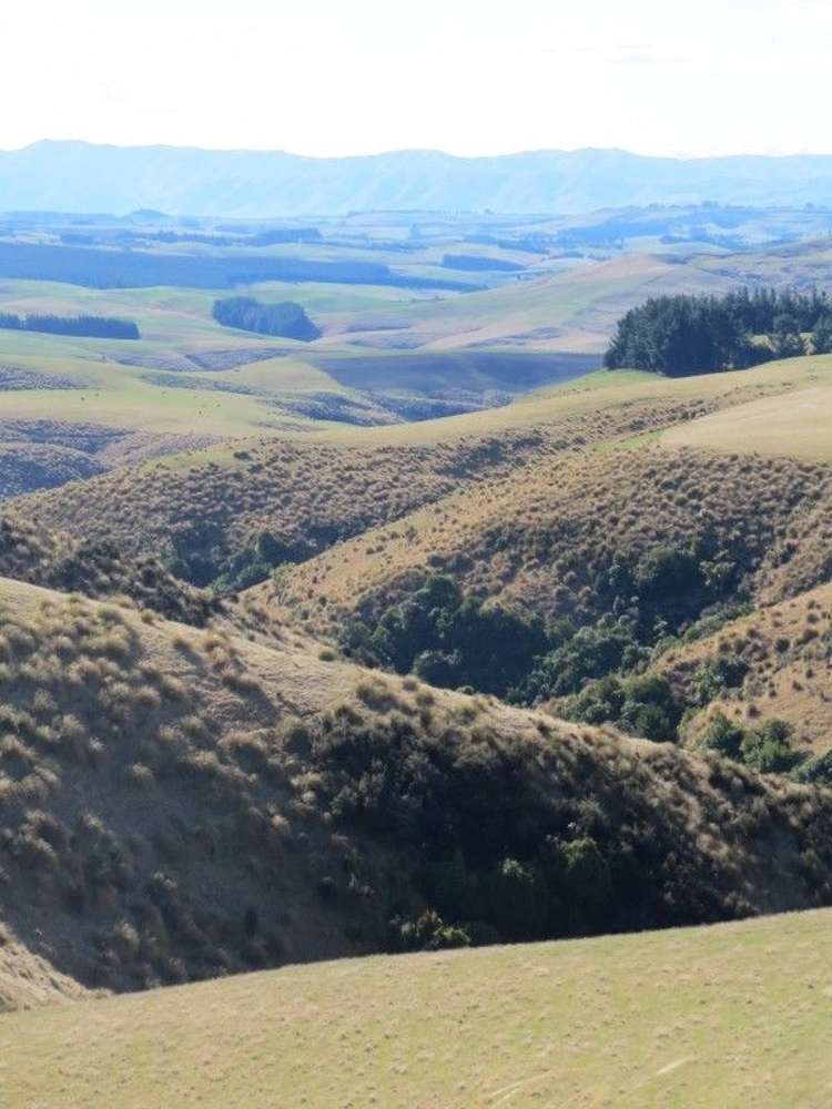 649 Kauru Hill Road Five Forks and Surrounds_27