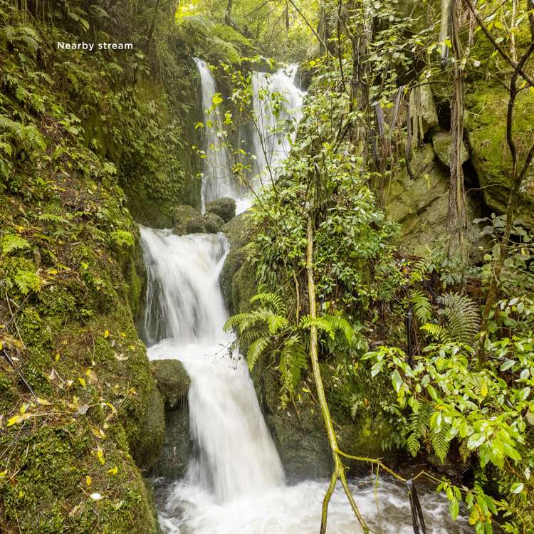 23/387 Pokuru Road North Whakamaru_28