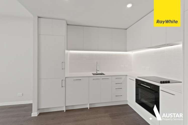 501/1 Enfield Street Mount Eden_1