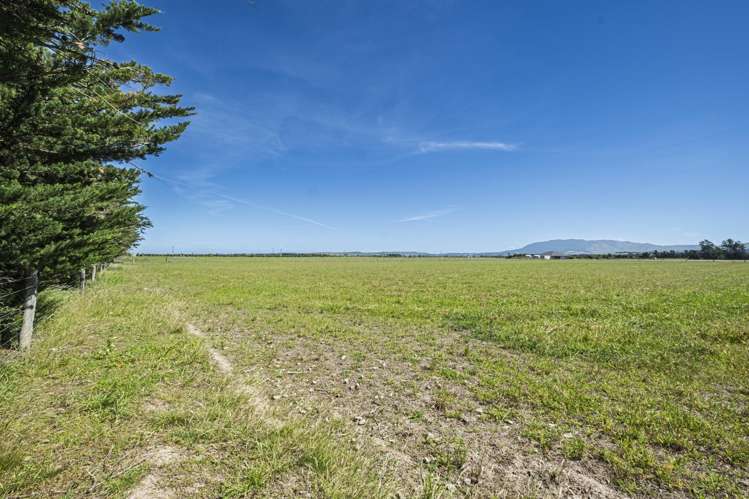 136 Purchas Road Amberley_12