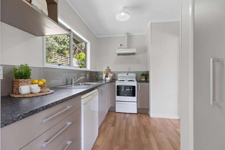 53 Carlton Street Bellevue_6