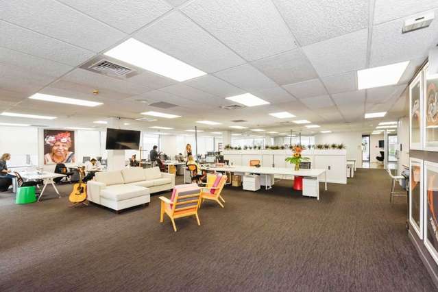 33 College Hill Freemans Bay_4