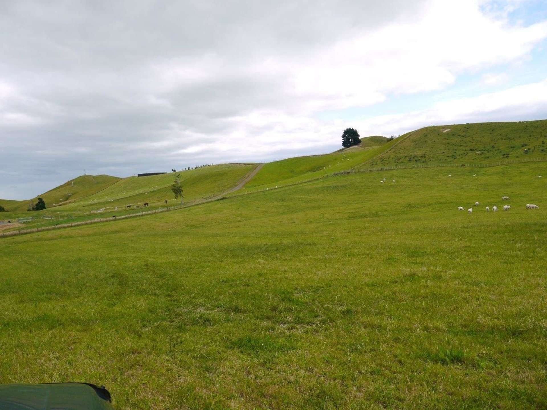 183c Smith Road Dannevirke_0