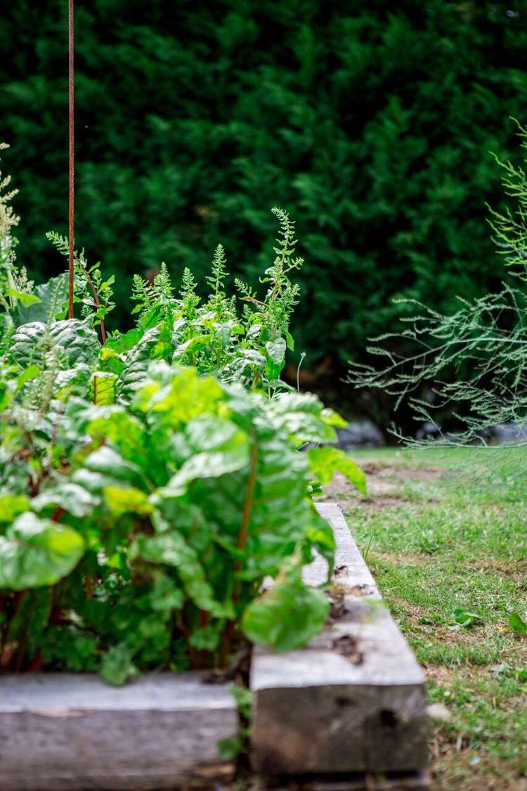 195 Kanohi Road Kaukapakapa_17