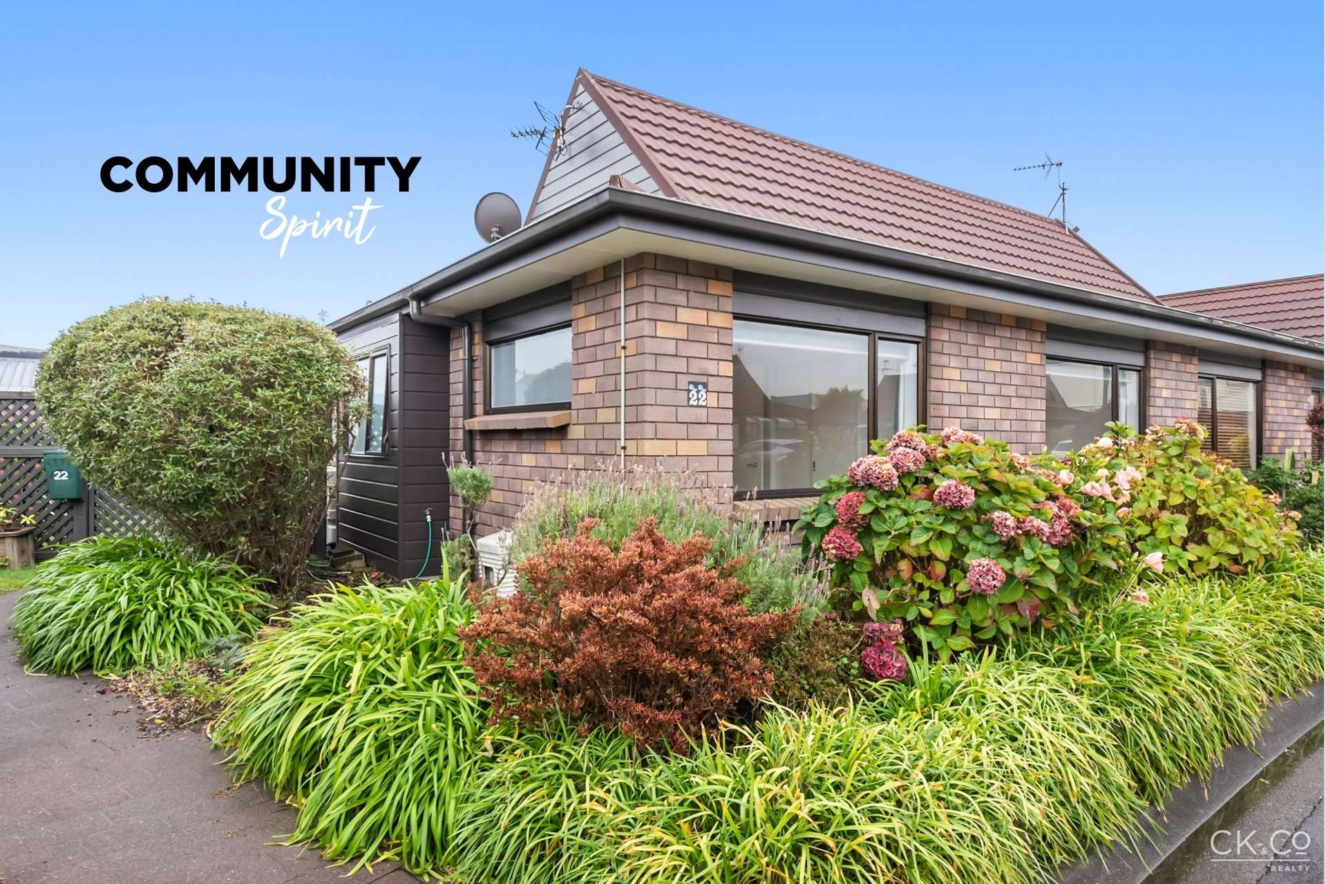 22/18 King Street Petone_0