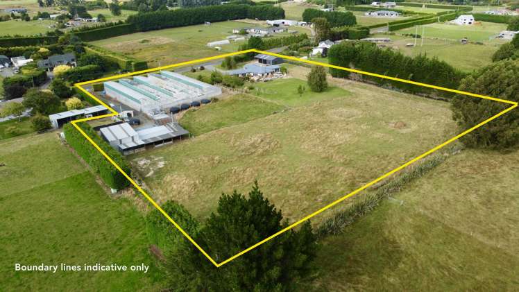 340 Drysdale Road Myross Bush_26