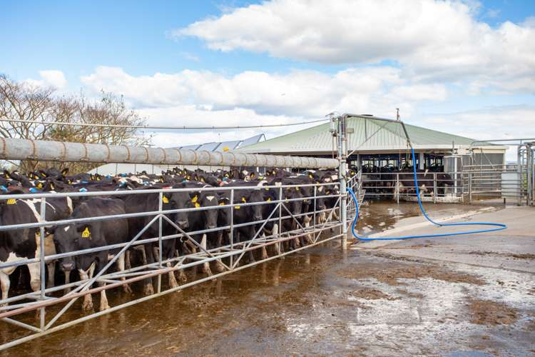 330 Rangitanuku Road Te Poi_7