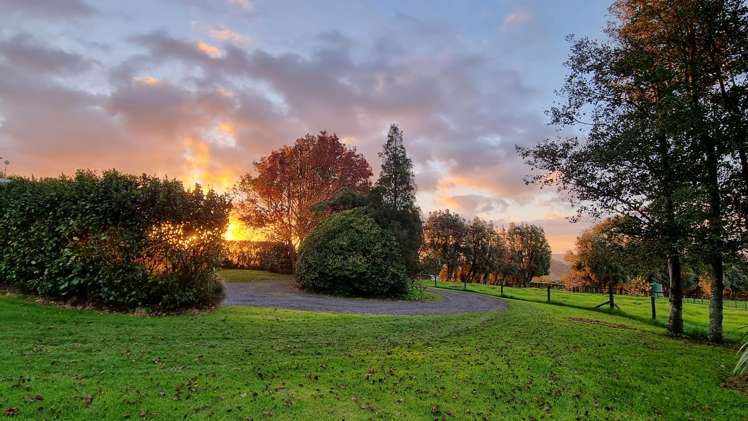 87 Lee Road Onewhero_31