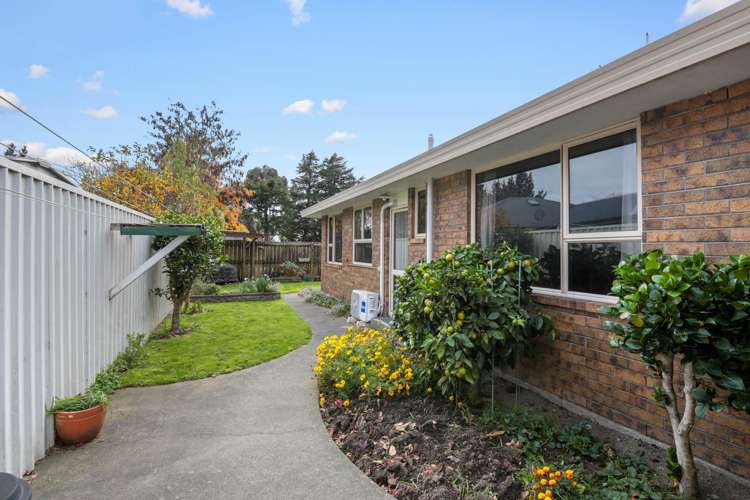46B Cashmere Grove Witherlea_13