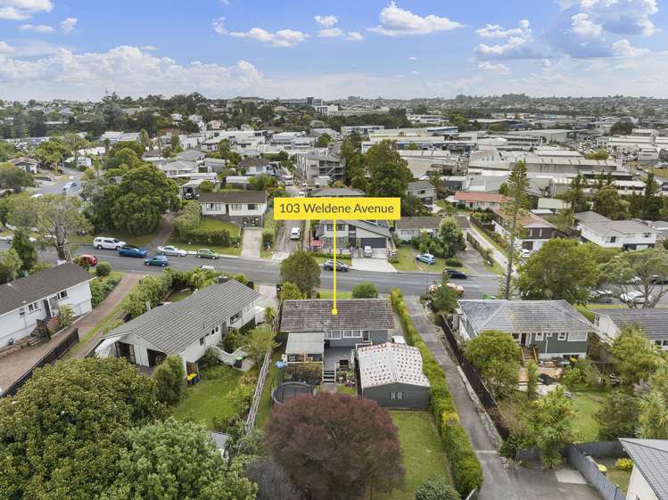 103 Weldene Avenue Glenfield_17