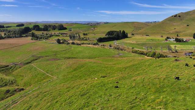 Mikimiki Road Masterton_4