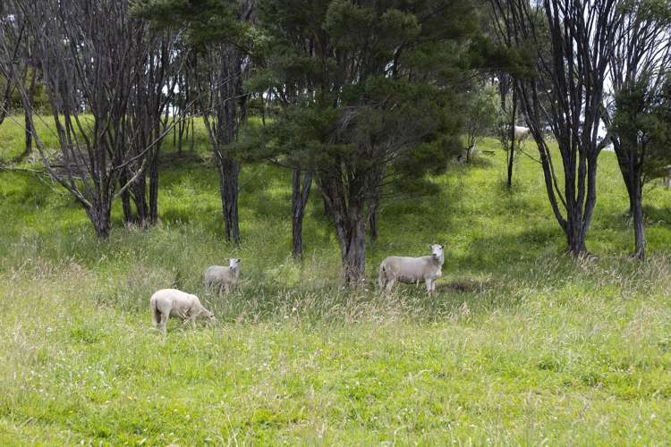 1214 Oruru Road Peria_29