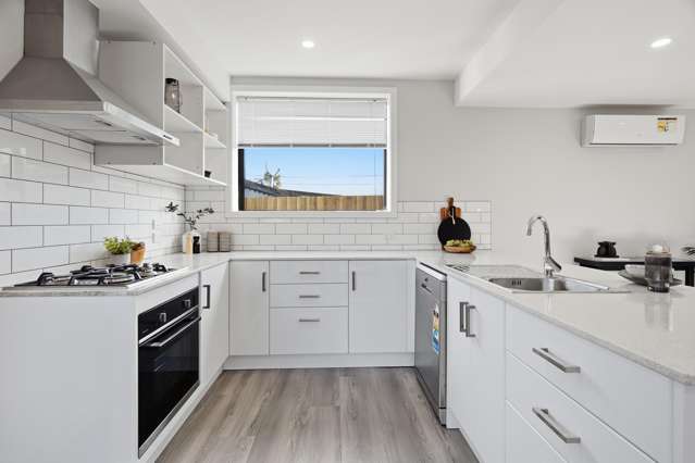33 Randolph Street Woolston_4