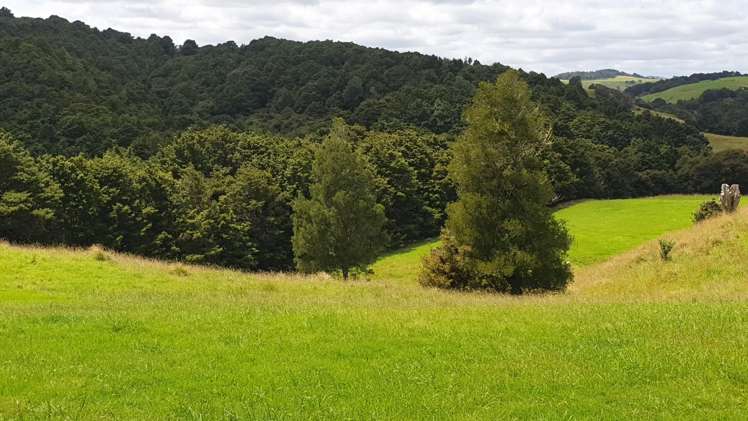 1241 Ararua Road Ararua_23