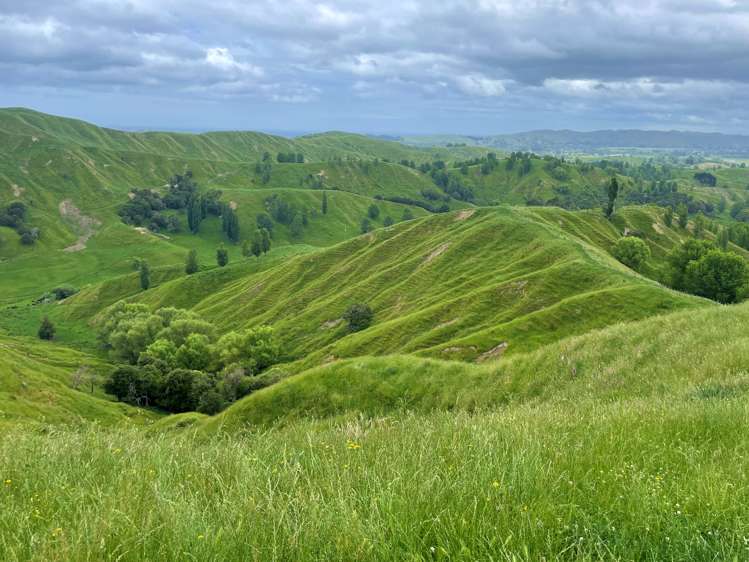 174 Clydebank Road Wairoa_7