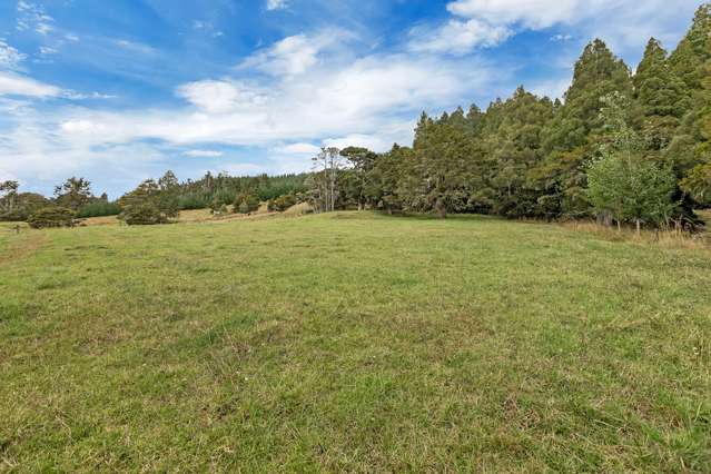 287 Hukerenui Road Ruatangata_4