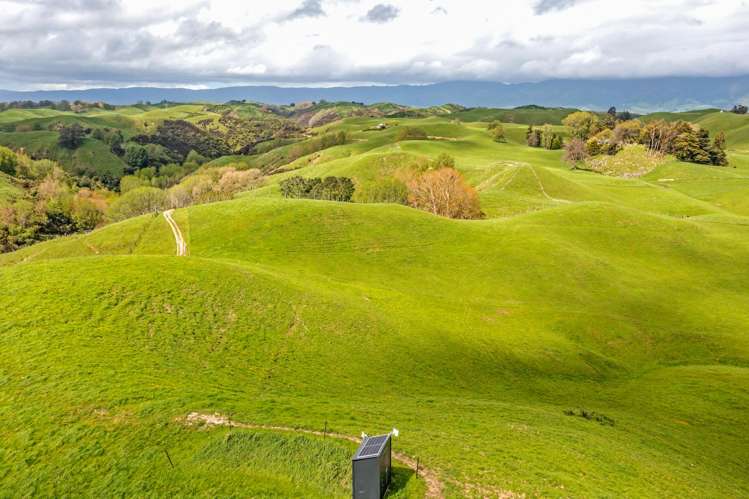 475 Pollock Road Pohangina_5