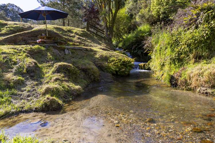 1/394 Orakei Korako Road_4