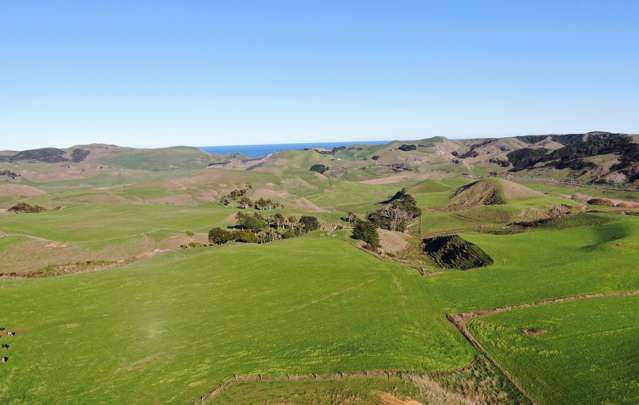 Cropping and Cattle - Matira