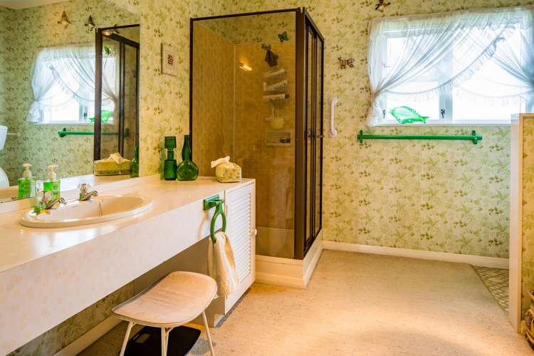 36 Devonshire Road Miramar_9