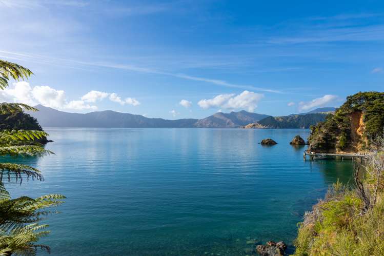 Kapowai Bay Marlborough Sounds_5