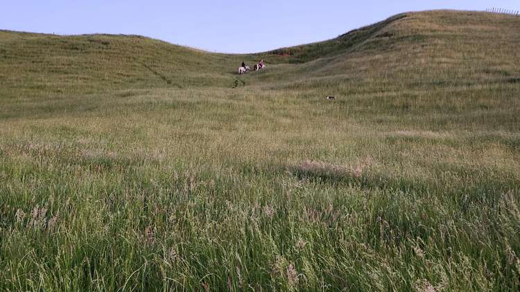 964 Tarata Road Kaimata_8