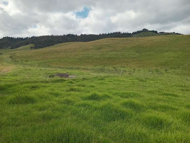 Lot 1-3/36 Te Moho Road_0