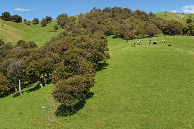 455 Anaroa Road Raukawa_2