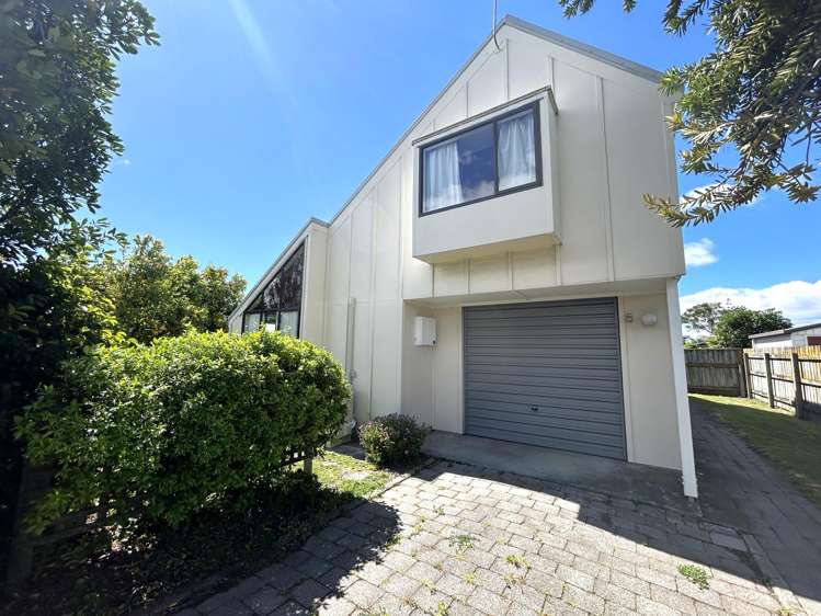 161 Avondale Road Greenmeadows_0