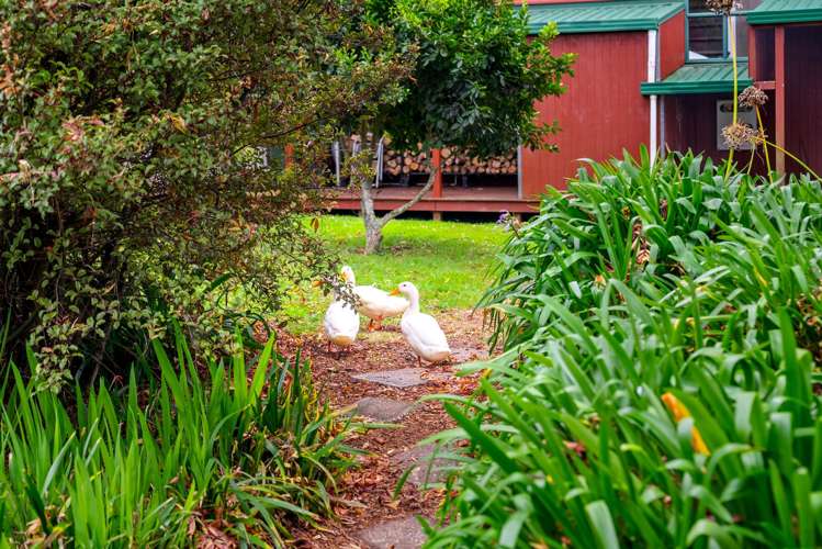 43b Nairn Road Hunua_4