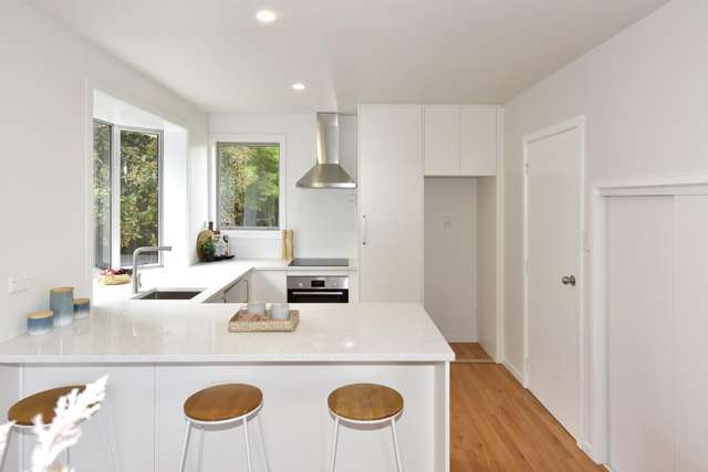 39 Steele Street Hornby_3