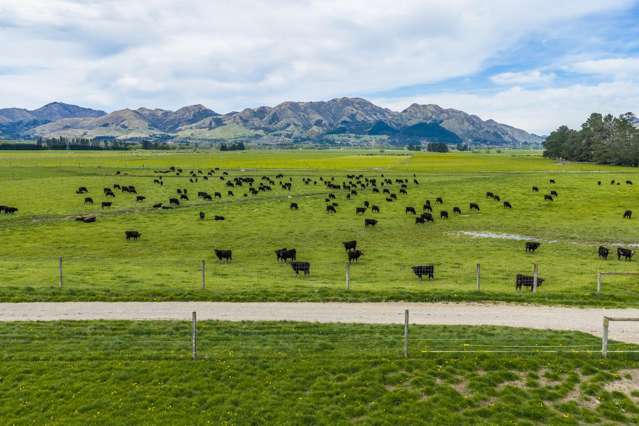 163 Woodbank Road Hanmer Springs_4