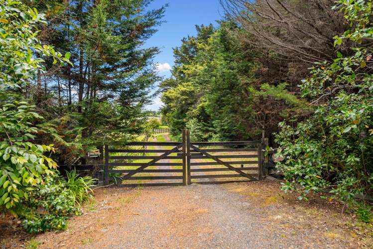 460 Whitford-Maraetai Road Whitford_40