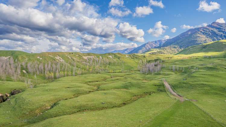 463 Gull Flat Road Central Hawkes Bay Country_17