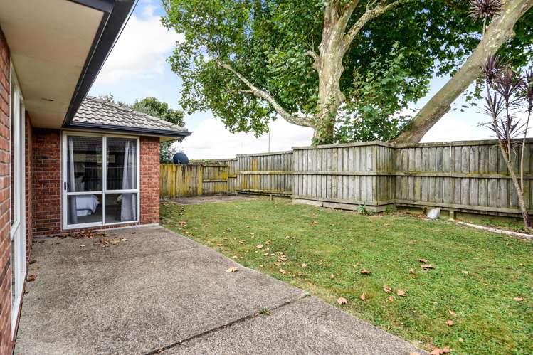 15 Salisbury Place Hamilton East_13