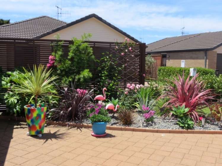 7a Cresta Drive Katikati_10