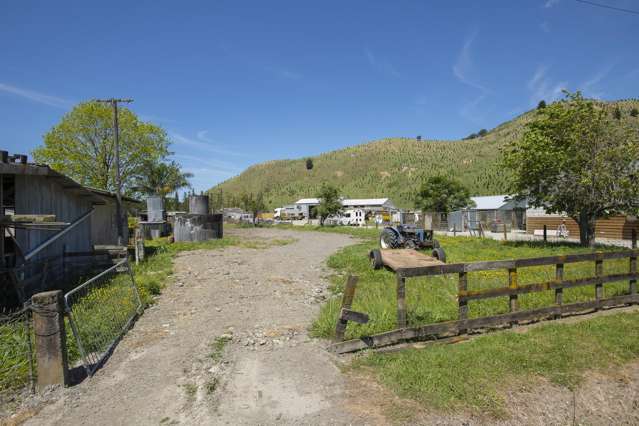 Te Karaka section - a new start