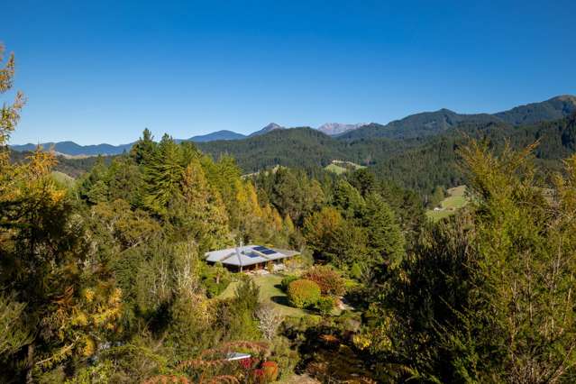 Multi-dwelling set in mature native bush