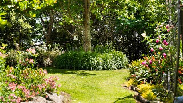 23 Wharf Road Clarks Beach_2