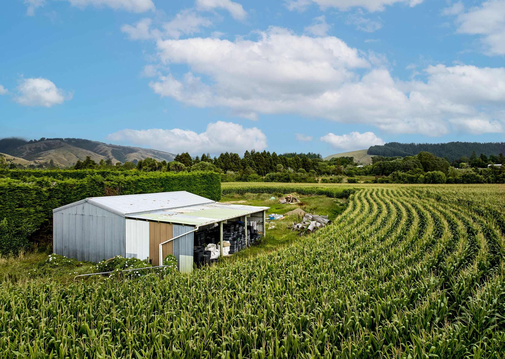 1200 State Highway 1 Manakau_0