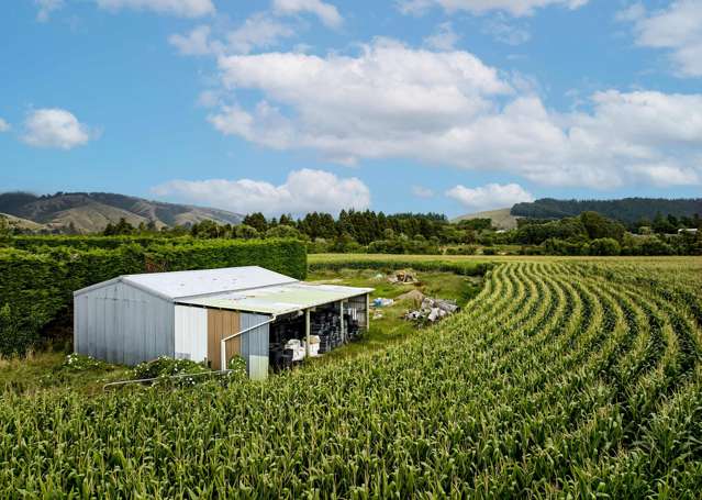 Rural Paradise: 21 Acres with Serene Mountain View