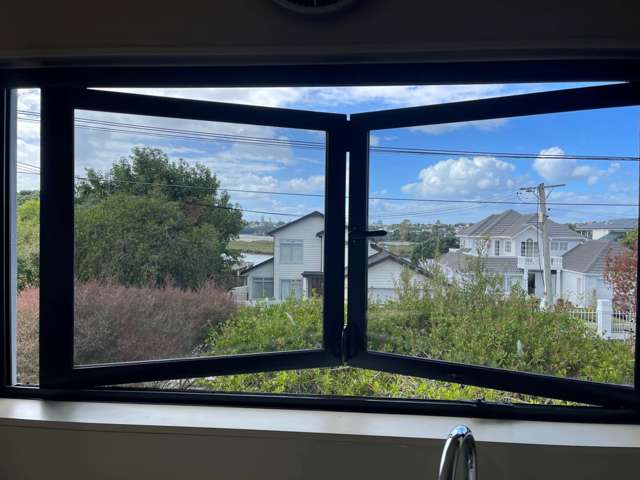 12 Bangor Street Pt Chevalier_2
