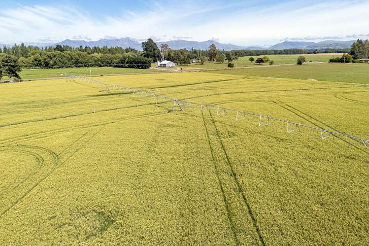 2247 Tinwald Westerfield Mayfield Road Ashburton_24