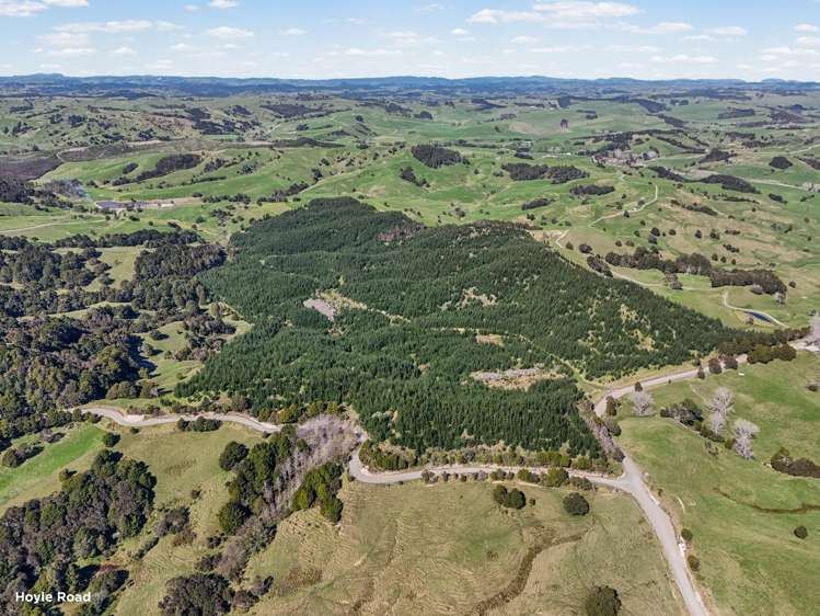 Address withheld Whangarei Surrounds_6
