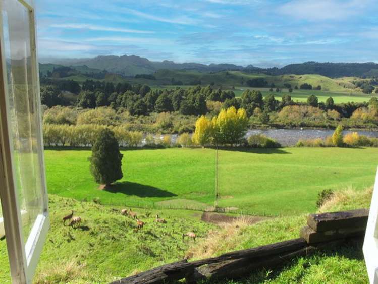 Stone Jug Road Kakahi_16