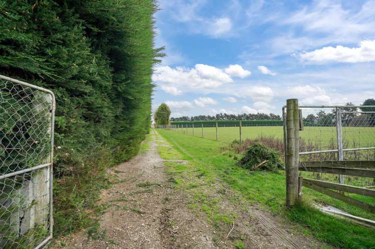 215 Rakahouka Grove Bush Road Winton Surrounds_48