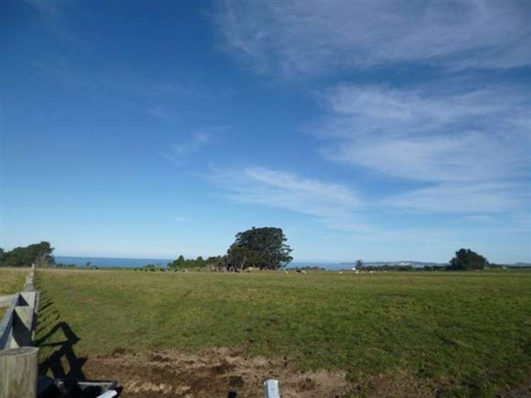 20d Kanuka Lane Hapuku_10